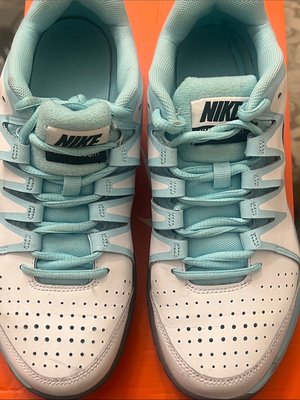 Nike Low-Top Sneakers in Aqua and White